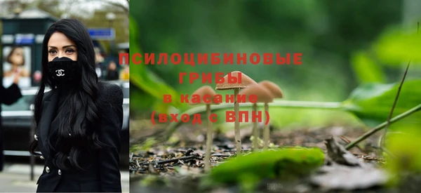 дурь Верхний Тагил